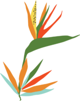 whimsical graphic of a bird of paradise plant using many colors