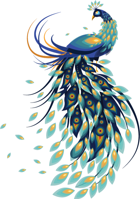 Elegant Peacock