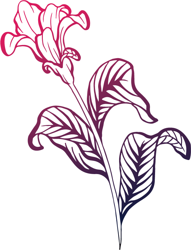 Decorative graphic of an outlined azalea