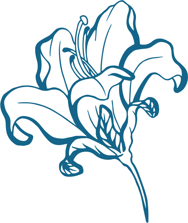 Decorative image of an azalea flower in a medium blue color